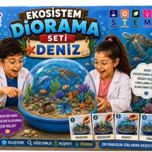 GreenMax Ekosistem Diorama — Deniz